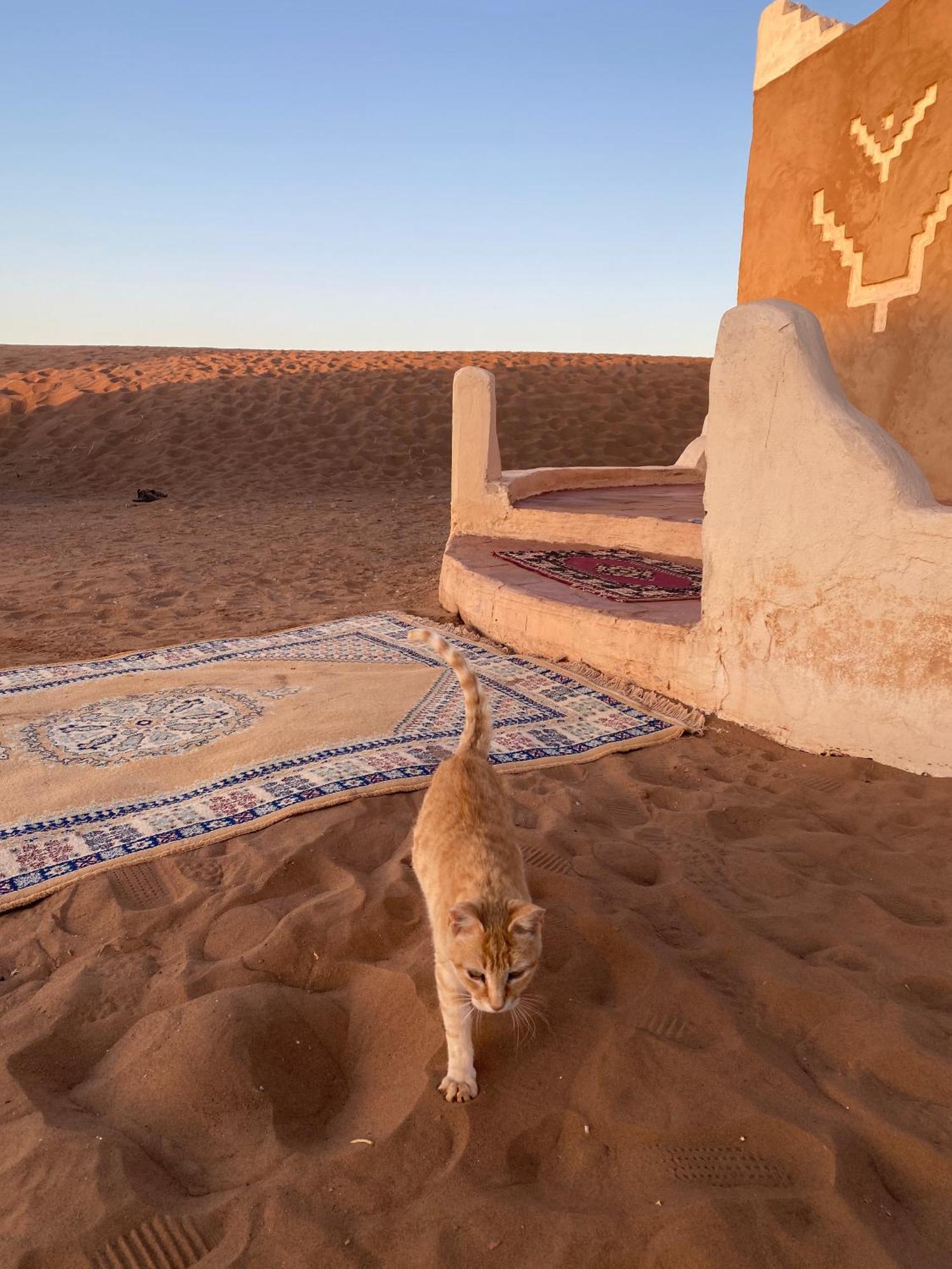 Hotel Bivouac Erg Chegaga Nomademoi El Gouera Esterno foto